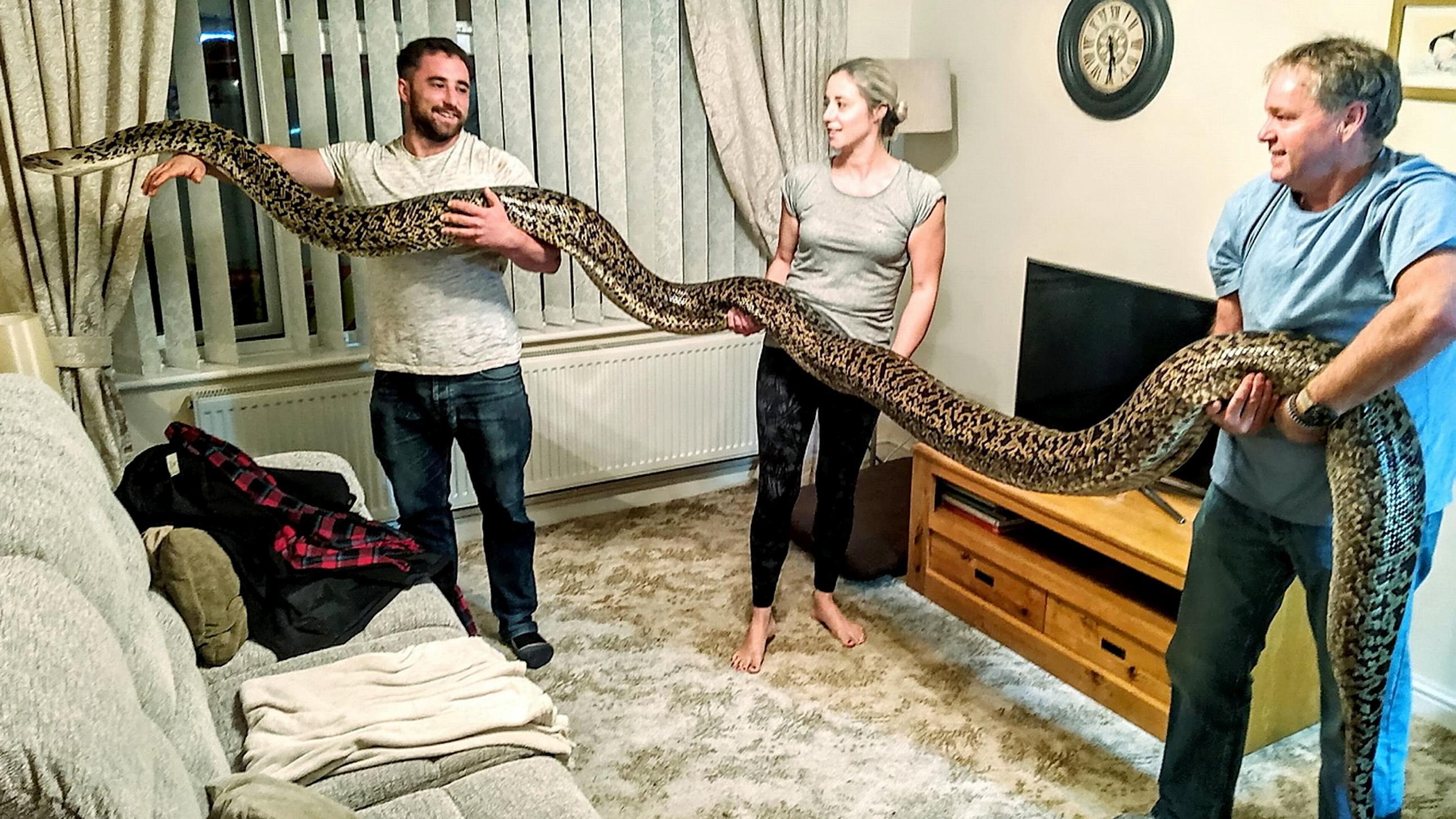 8年前买小蛇当宠物养如今长成世界最大缅甸蟒