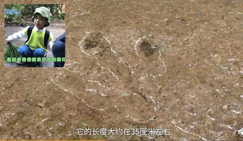 四川5岁小男孩发现恐龙足迹