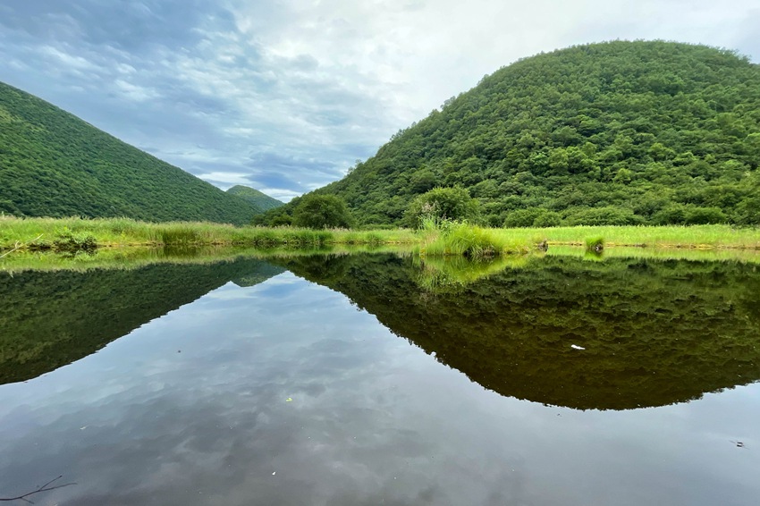 递交 生态答卷 重庆五里坡自然保护区 申遗 成功